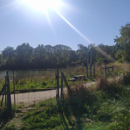 Gite La Pironniere - Piscine, Nature, Au Bord De La Riviere Montreuil-sur-Maine Eksteriør bilde