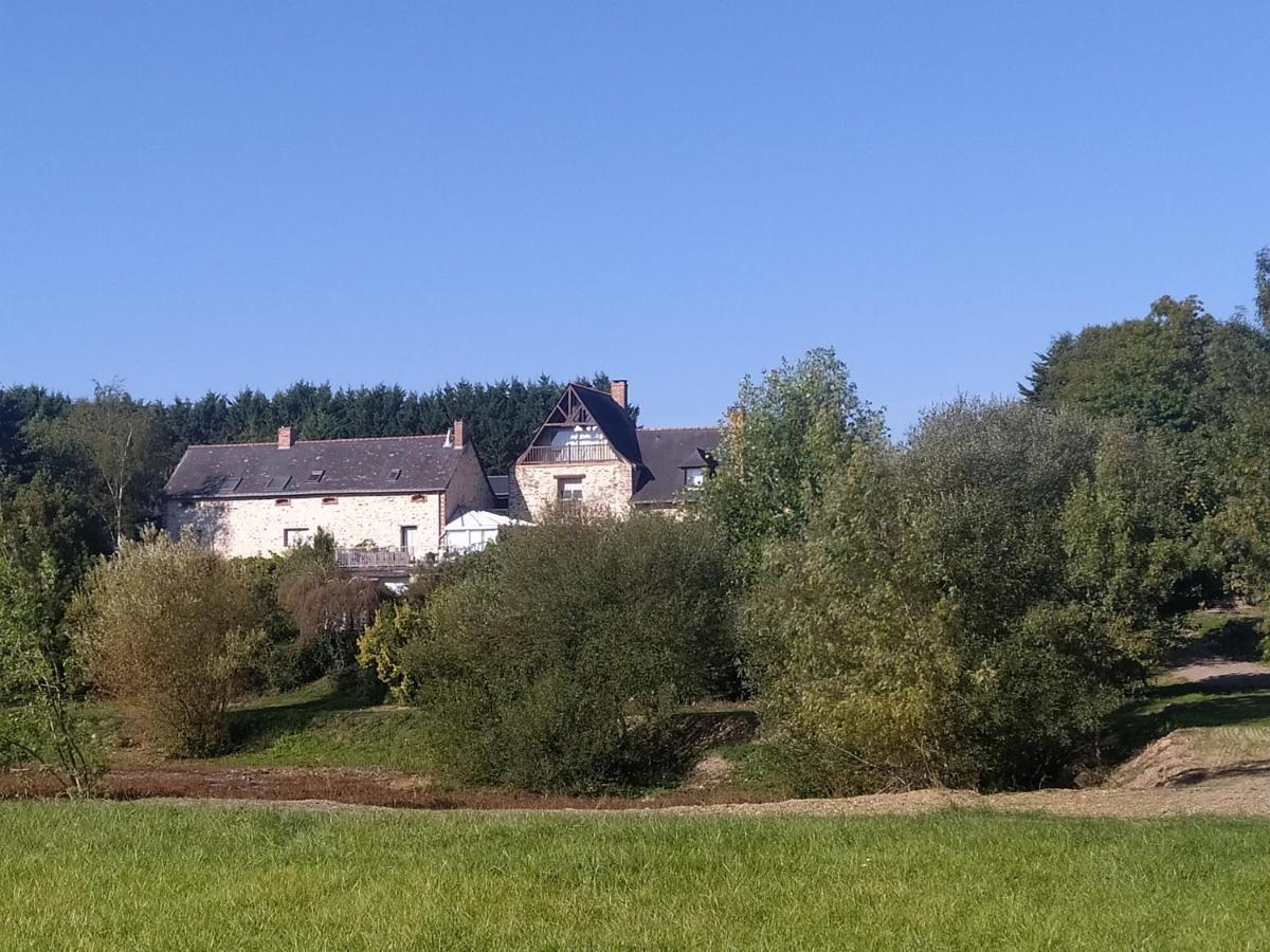 Gite La Pironniere - Piscine, Nature, Au Bord De La Riviere Montreuil-sur-Maine Eksteriør bilde