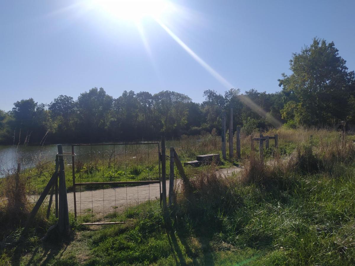 Gite La Pironniere - Piscine, Nature, Au Bord De La Riviere Montreuil-sur-Maine Eksteriør bilde